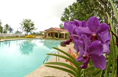 Camiguin Highland Resort Mambajao Eksteriør billede